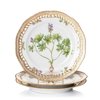 Royal Copenhagen Dinner Plates